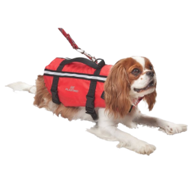 Plastimo Gilet de sauvetage pour chien taille M