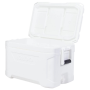 Refrigerador Igloo Marine Profil II 50 (47 litros)