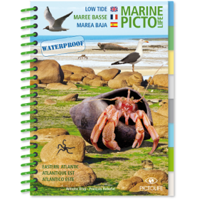 Pictolife livre marine marée basse Atlantique Est