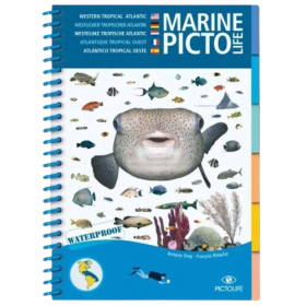 Pictolife Atlantic Marine bok tropical west