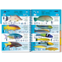 Livro Pictolife West Tropical Atlantic Marine