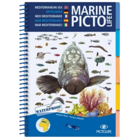 Livro Pictolife Marine Mar Mediterrâneo