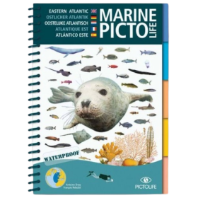 Livro marinho Pictolife do Atlântico Leste