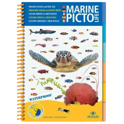 Pictolife Livre marine océan indien et mer rouge