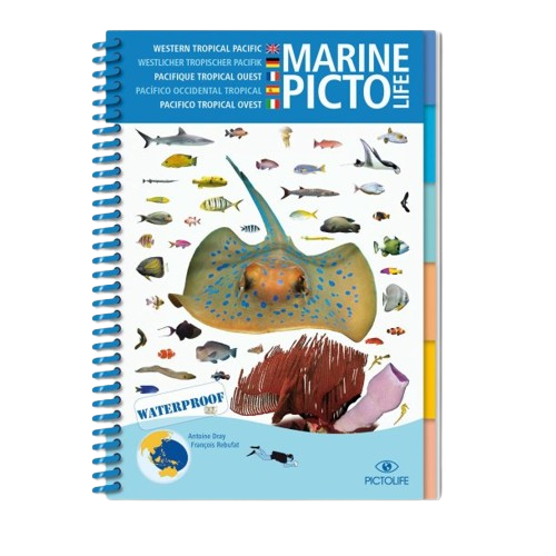 Pictolife Asian Pacific Marine Book