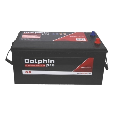 Dolphin Batterie PRO 12V 180 Ah